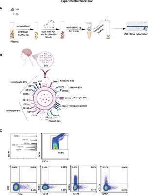 Circulating brain-derived extracellular vesicles expressing neuroinflammatory markers are associated with HIV-related neurocognitive impairment